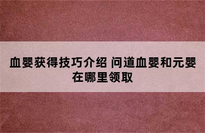 问道手游元婴/血婴怎么获得元婴/血婴获得技巧介绍 问道血婴和元婴在哪里领取